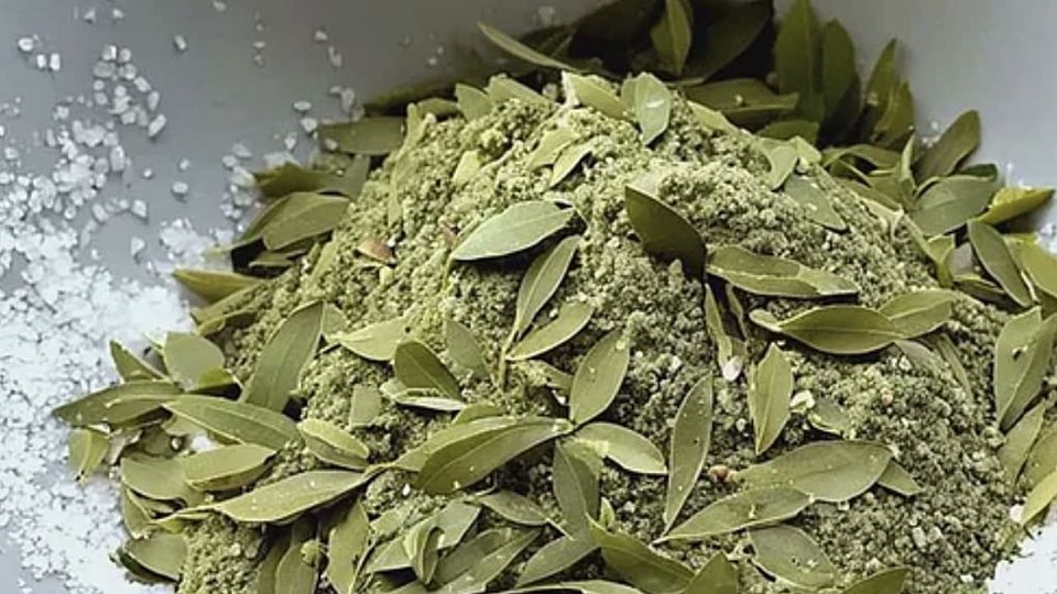 Folhas de erva moídas na tigela, prontas para a infusão